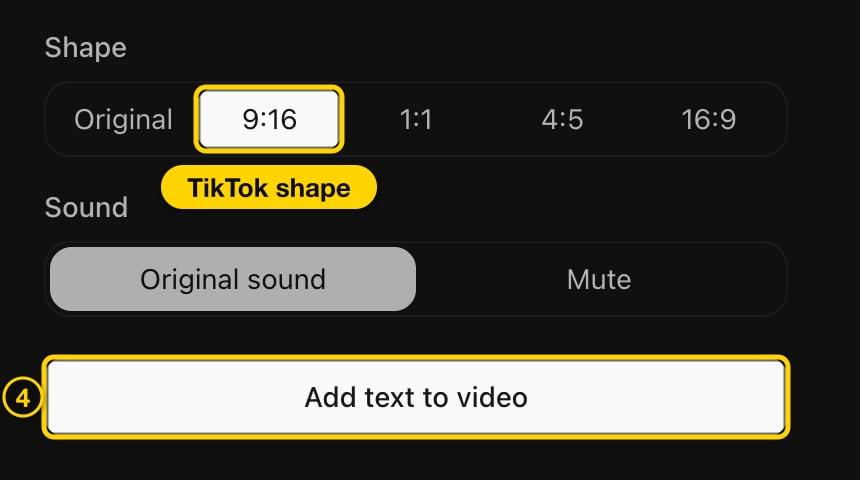 9:16 shape and the Add text to video button highlighted